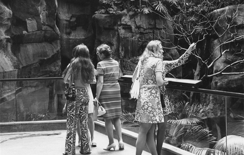 Wildlife Conservation Society_00003_Visitors circa 1970s_WOB_BZ_00 00 00_hr